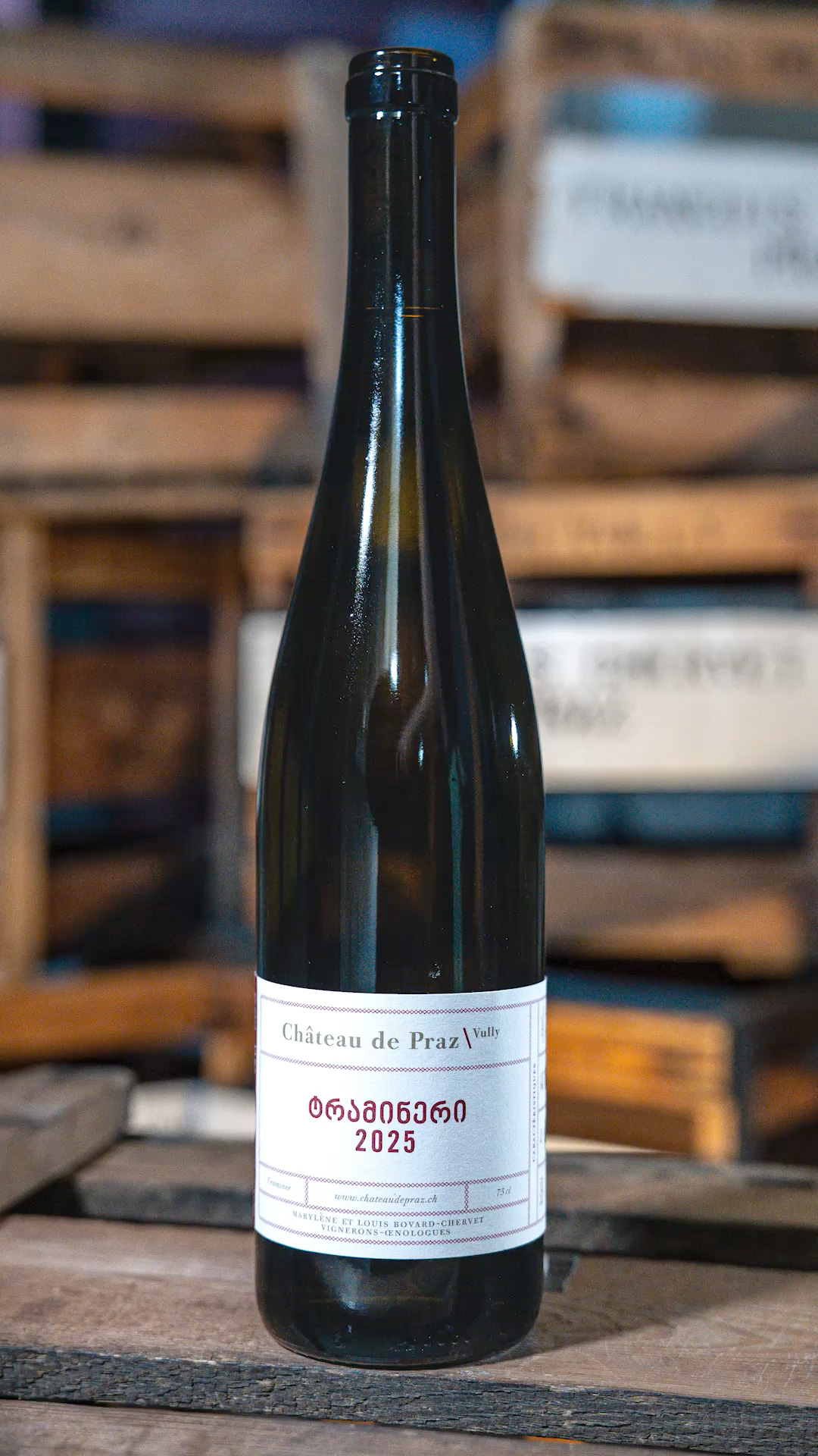 სოვინიაკი 2024