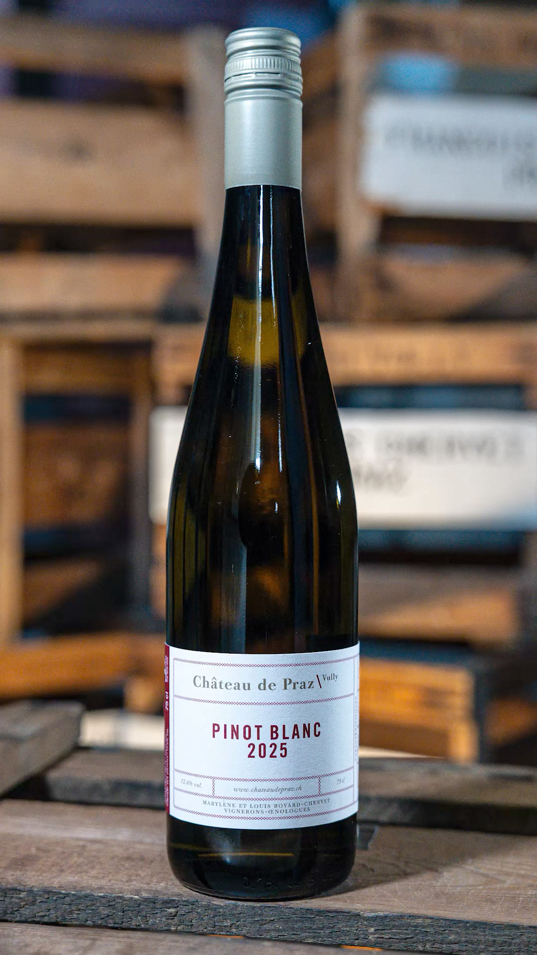 Pinot Blanc 2025